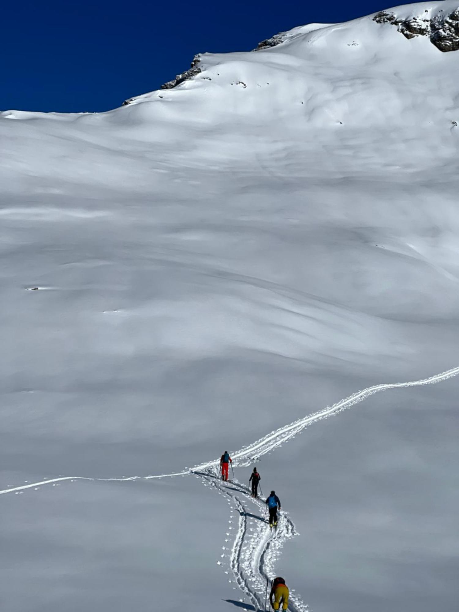 Chalet Altus Sainte-Foy-Tarentaise Esterno foto