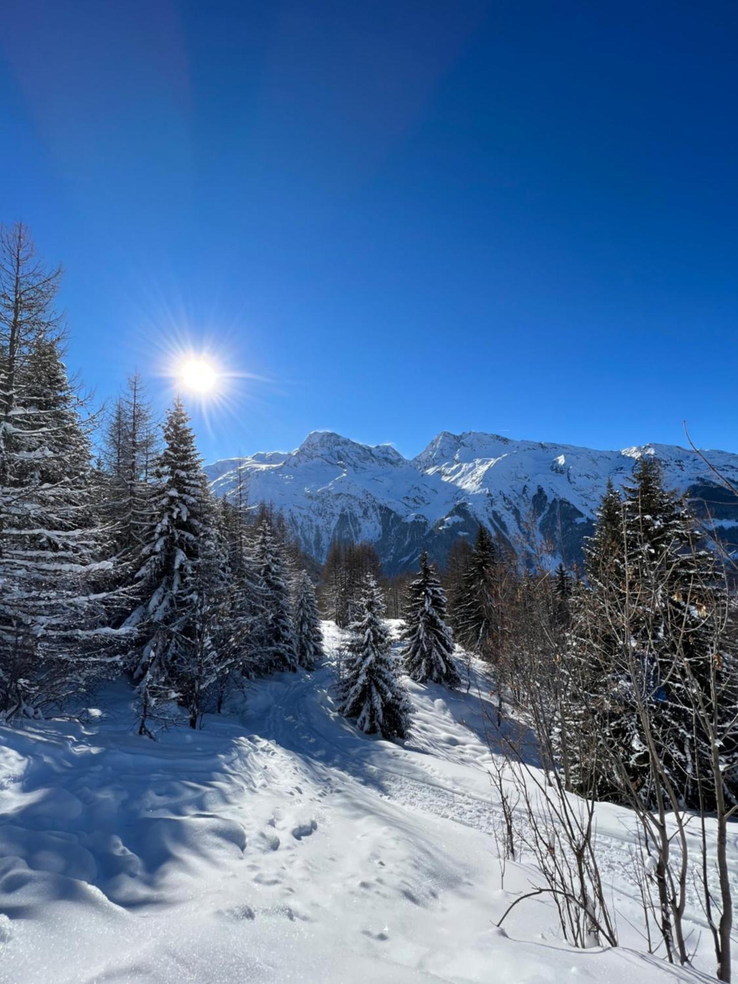 Chalet Altus Sainte-Foy-Tarentaise Esterno foto