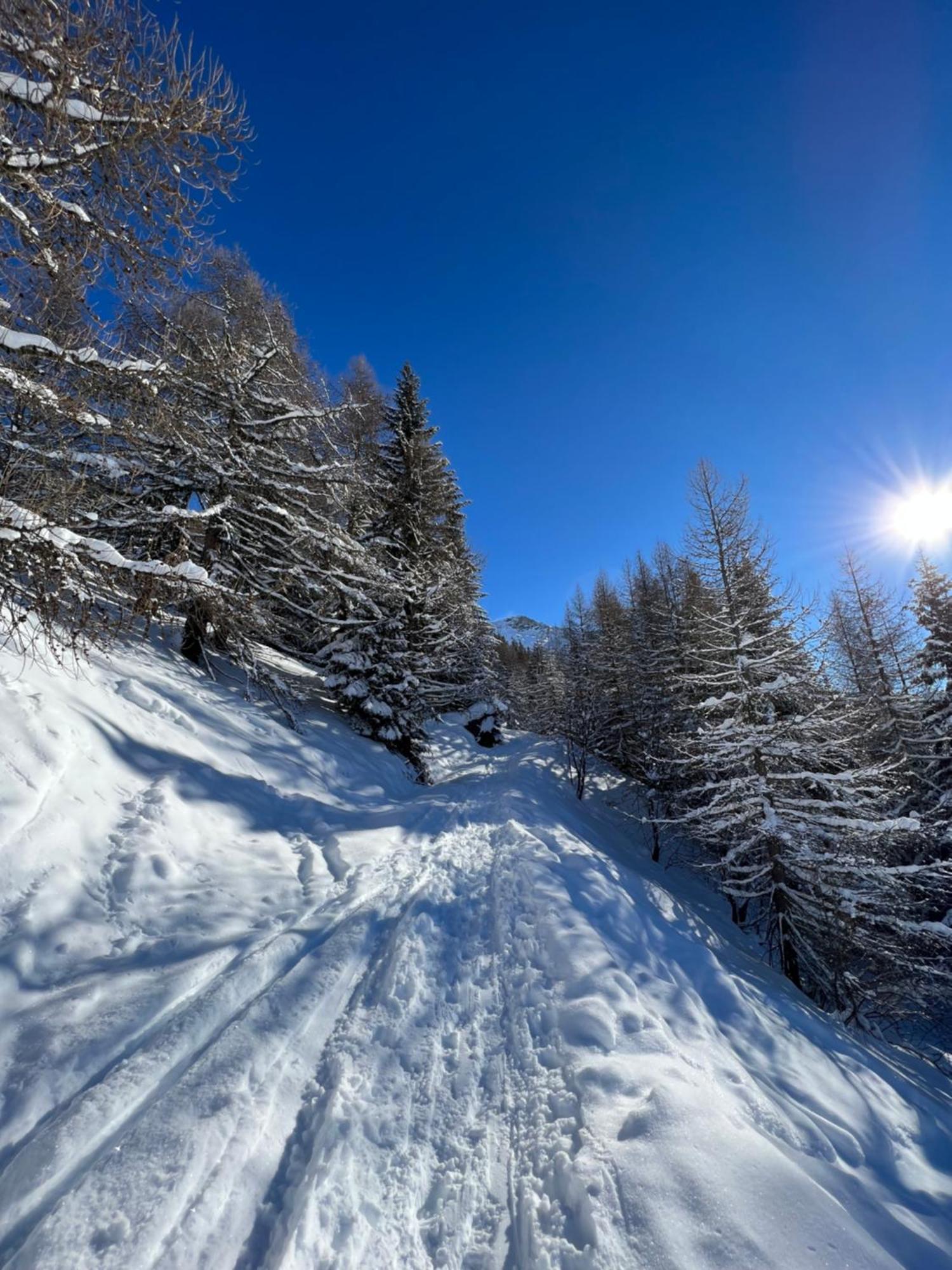 Chalet Altus Sainte-Foy-Tarentaise Esterno foto